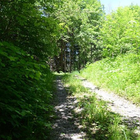 Kreiers Alp Apartman Hohenems Kültér fotó